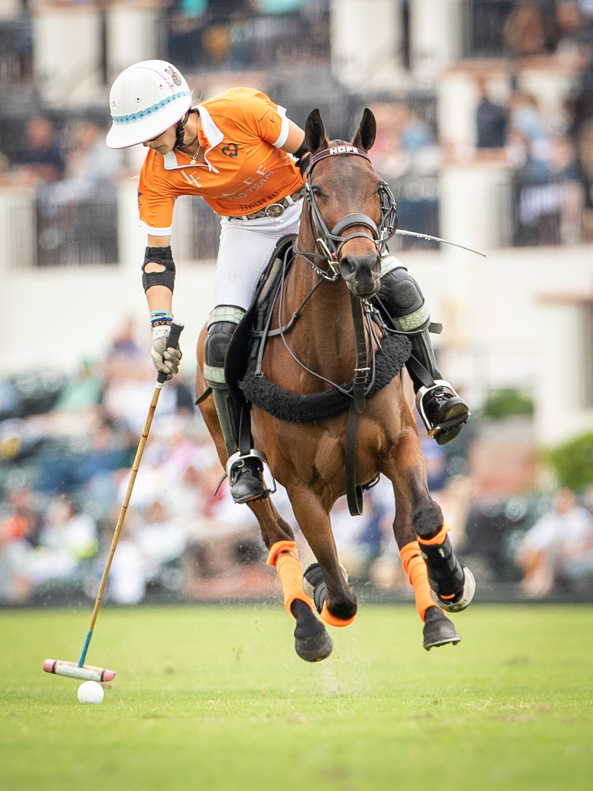 LIT Entertainment Awards Winner file - Breakaway: Women in Polo